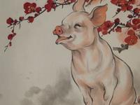 专属生肖猪的人的风水