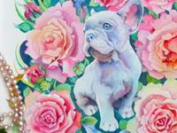 生肖狗对待爱情的心情