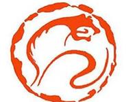 属虎的人如何提升自己的运势