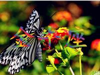 满分10分，金牛座的人生得多少分