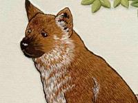 年前生肖狗需要谨防哪些事