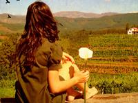 李云天塔罗生肖运程（11.7-11.13）