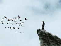 占卜你最近有什么心事