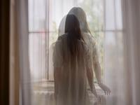 生肖蛇如何找到最适合的另一半