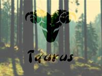 金牛座需要升级啥新技能