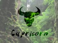 摩羯座需要升级啥新技能