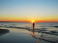 女巫树洞2016年11月摩羯座运势