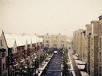 李居明2017鸡年生肖龙运势