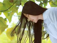 宋韶光2017年十二生肖整体运势