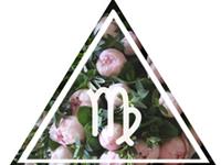 处女座单身狗如何排解寂寞