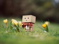 羲邑师姐2017年生肖兔年度运势