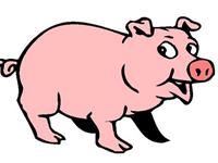 揭秘生肖猪的本性