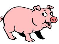 生肖猪，你的十二月工作运如何