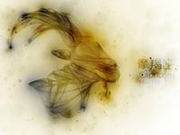 摩羯座最想练成哪种武功秘籍