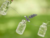 十二月运气最好的三大生肖