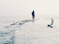 泓翔2017年生肖马流年整体运程