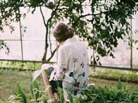 凤影焰2017年双子运势