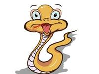 生肖蛇年前该怎样完美的收尾