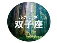 双子座当导演最想拍什么片