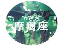 摩羯座当导演最想拍什么片