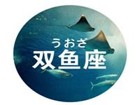 双鱼座当导演最想拍什么片