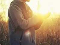 12星座何时会记起尘封的梦想