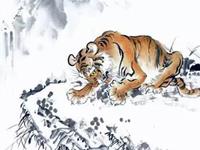 麦玲玲2017年生肖虎运势