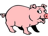 2019年是什么命，2019年是什么年