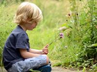 肖百奇属龙的人2017年整体运势