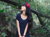 肖百奇属鸡的人2017年整体运势