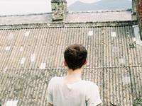 郑博士2017年属兔的运势