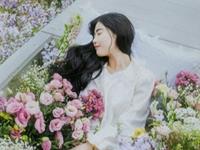 熊神进2017年鸡年羊生肖运程