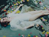 熊神进2017年鸡年猪生肖运程