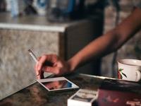 董易林2017年生肖猪的运势