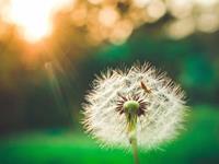 金牛座必须要知道的道理