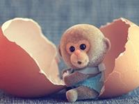 生肖猴奋斗多少年才能脱贫致富