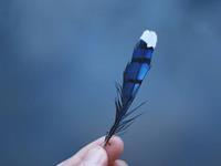 双子座的心疼谁能懂