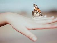 B血型单恋时的恋爱攻略