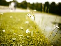 白羊座的内心世界