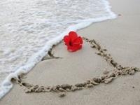 白羊座靠什么说服别人