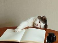 占卜你的人生中有什么样的遗憾