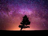 紫微斗数看感情婚姻