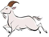 男属羊的和什么属相最配，属羊的和什么属相最配