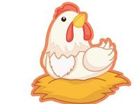 女属鸡的和什么属相最配，属鸡的和什么属相最配