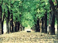 李云天塔罗生肖运程（3.13-3.19）