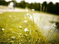 摩羯座勤劳指数