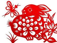 生肖兔遇到小偷会有什么反应