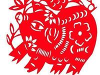 生肖猪遇到小偷会有什么反应