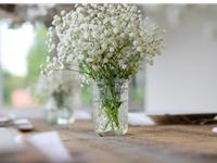 别让养花害了你