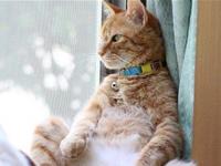 测测你会因为什么而难以把控情绪呢？